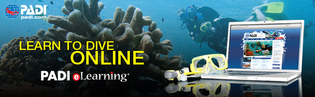 Padi Elearning website